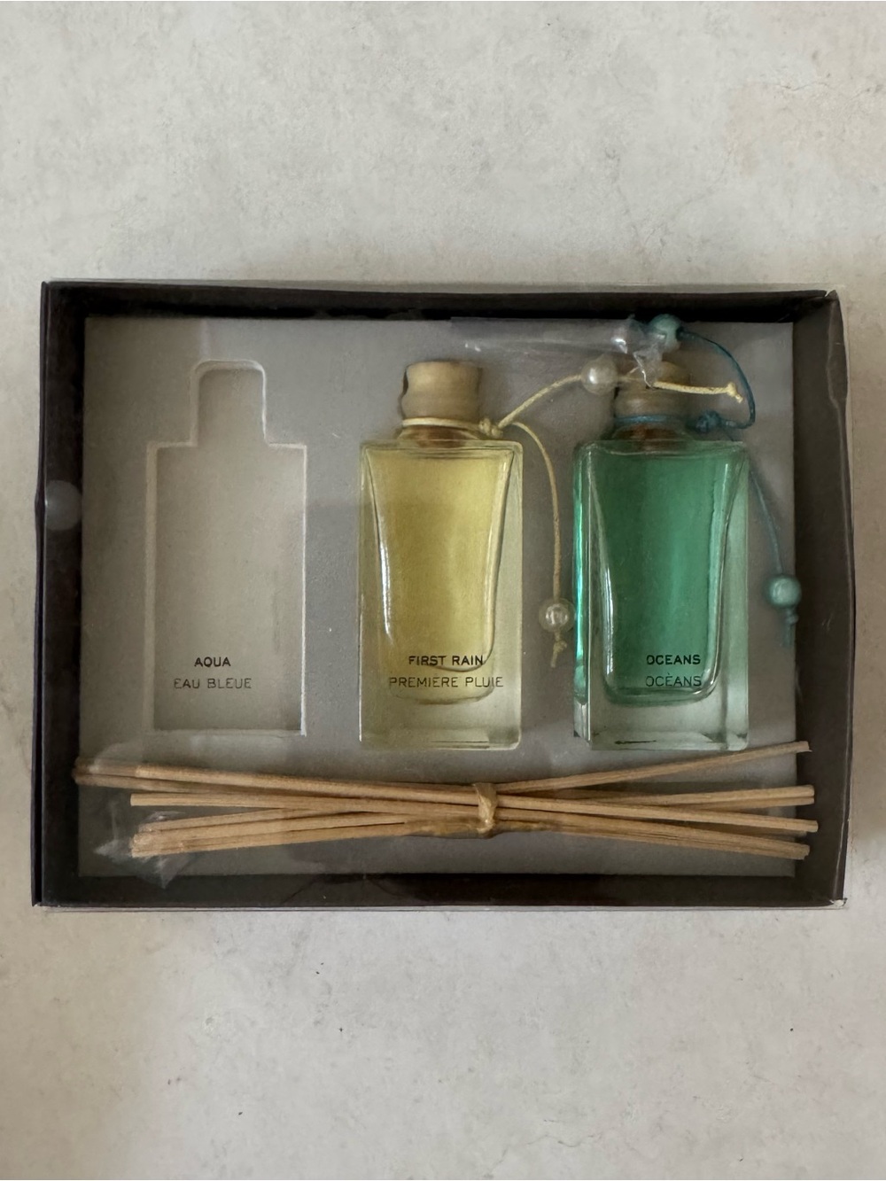 Pier 1 Imports Reed Diffuser Gift Set of 2 Oceans and First Rain Scent